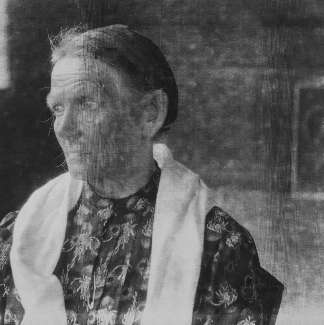 Czech woman sociologist head and shoulders portrait